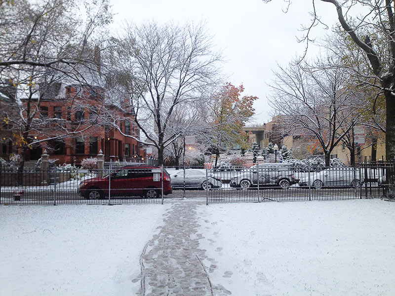 winter