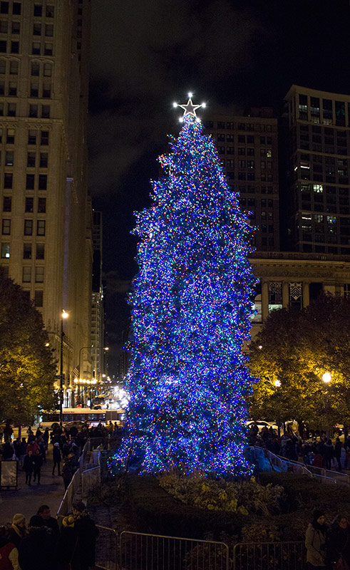 chi_christmas_tree