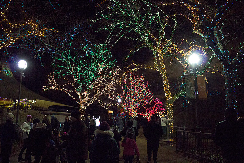 much_night_zoo