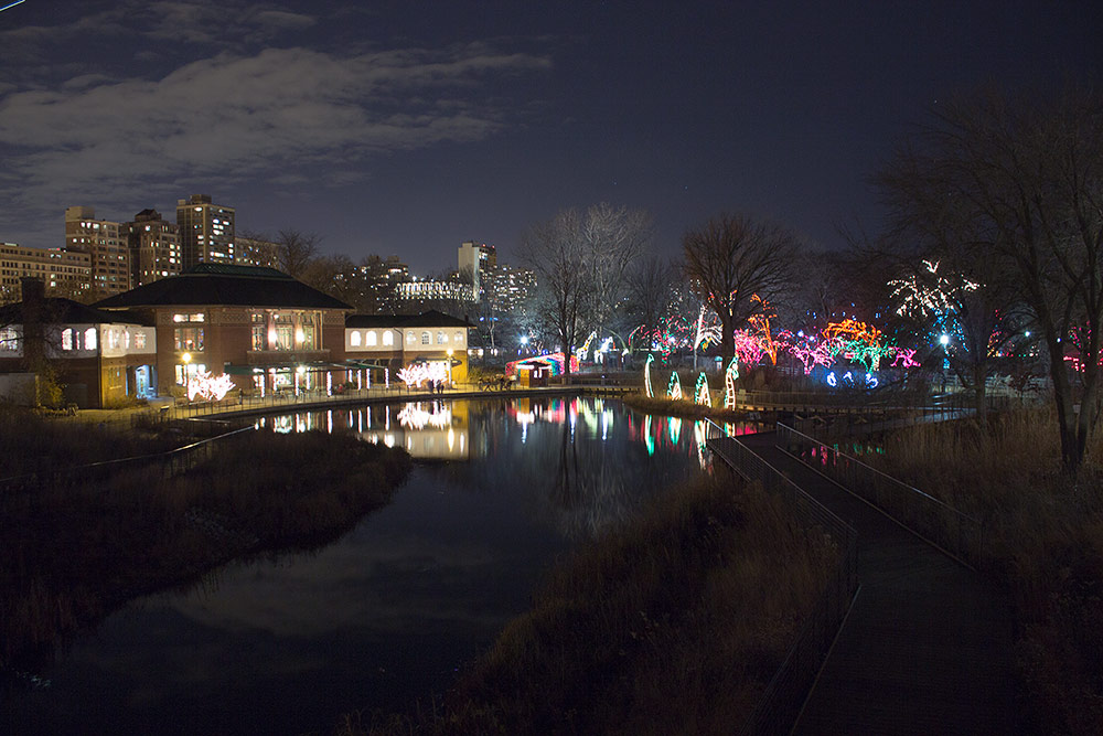 zoo_lights