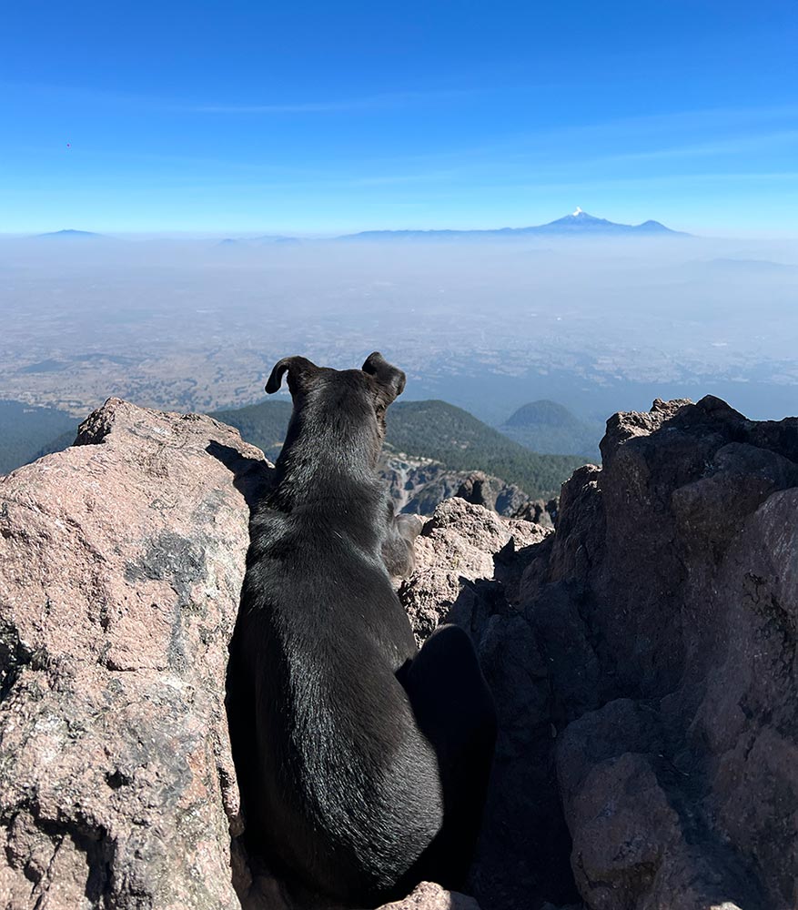 Šuo besigrožintis Pico de Orizaba vaizdais